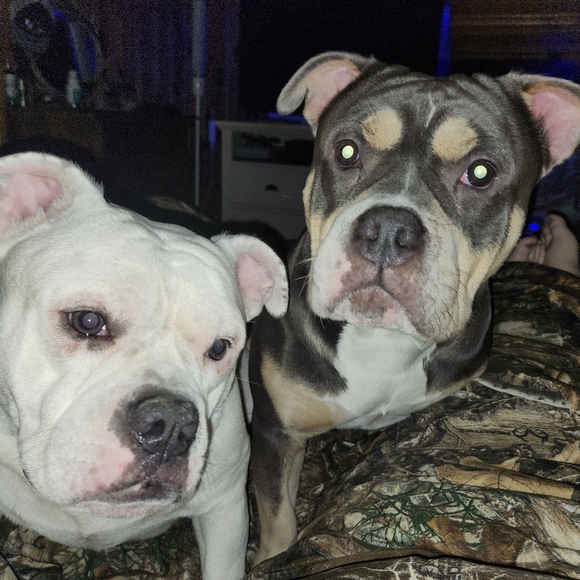 Meet your Posher, Rebecca - Picture 2 of 16